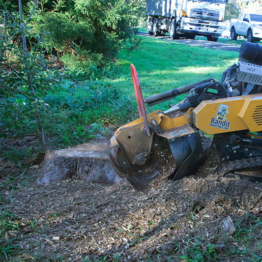 stump grinding services in south auckland