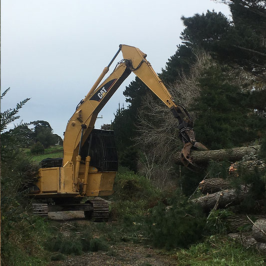 land clearing services in south auckland